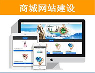 商城網(wǎng)站建設有哪些功能？