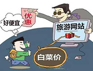 農村旅游網(wǎng)站建設及用戶(hù)體驗度的提高？